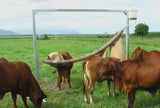 BACKRUBBER 2MT SELF OILING AUSTRALIAN LIVESTOCK BACKRUBBER 2-S/O