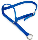 HALTER LEADING COW BAINBRIDGE A2186