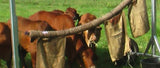 BACKRUBBER 3MT SELF OILING AUSTRALIAN LIVESTOCK BACKRUBBERS 3S/O-W