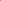 LAZATAG MAXI FEMALE 08RS RED BLANK EACH ALLFLEX 524984