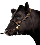 HALTER LEATHER FOR SHOW WITH LEAD SMALL TAN BAINBRIDGE A2125