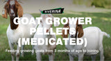 RIVERINA GOAT GROWER PELLET + RUMENSIN 20KG (MEDICATED) GEN55B
