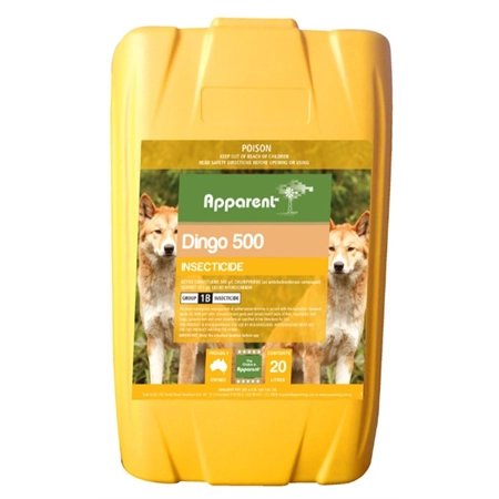 APPARENT DINGO 500 20LT INSECTICIDE CHLORPYRIFOS (EQ: LORSBAN) 8656