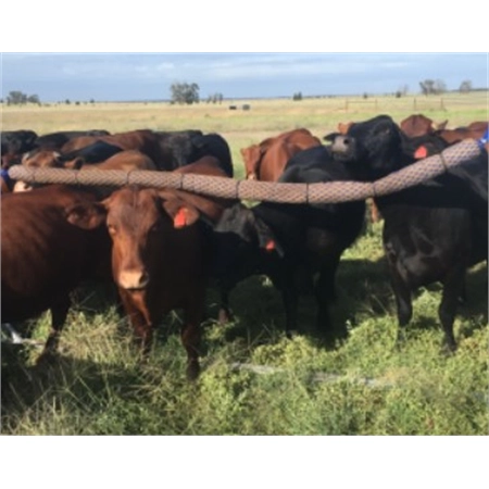 BACKRUBBER 3MT PLAIN AUSTRALIAN CATTLE BACKRUBS 3FA