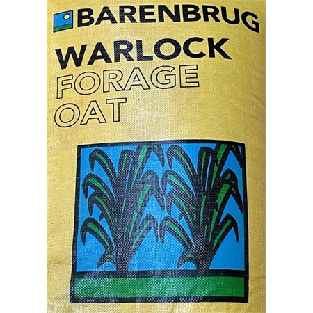 BARENBRUG WARLOCK FORAGE OATS SEED PER KG 31103071