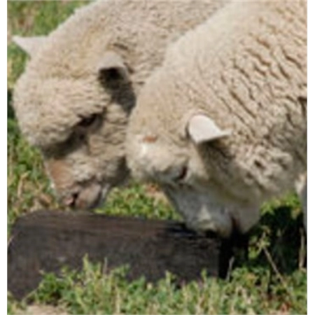 BIOMAX STOCK LICK BLOCK 10KG BIOLOGIC LCO2 AMINO ACID BASED MINERALS