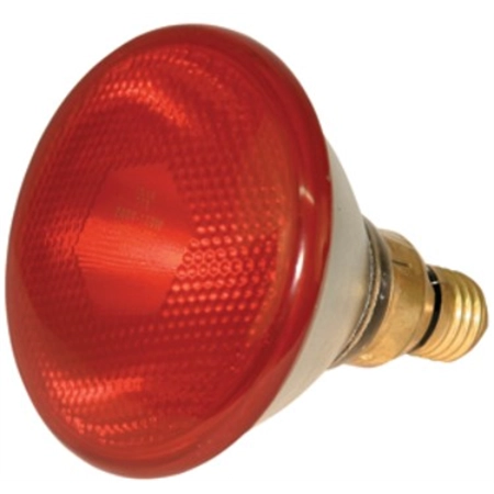 BROODER LAMP 100W INFRARED RED SHOOF 215619