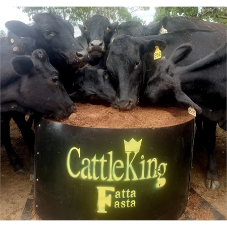 CATTLEKING FATTA FASTA FEEDER 600KG BLOCK NO UREA 0063- ORANGE