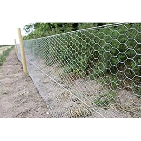 CHICKEN NETTING WIRE 900 X 50 X 1.0MM X 50M WHITES 10645