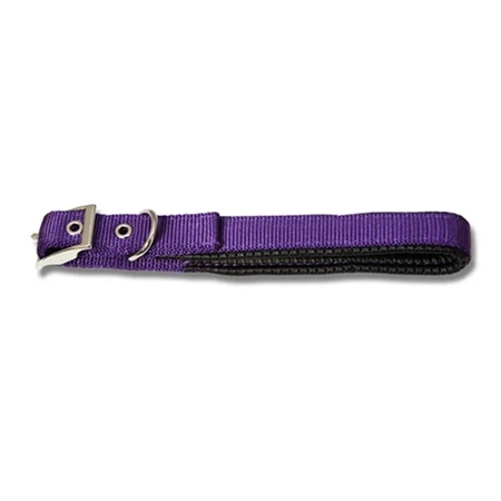 DOG COLLAR WEBBING PADDED 35CM PURPLE BAINBRIDGE A7006-PU