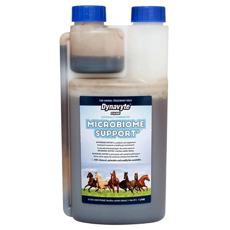 DYNAVYTE EQUINE MICROBIOME SUPPORT HORSE SUPPLEMENT 1LT 987361