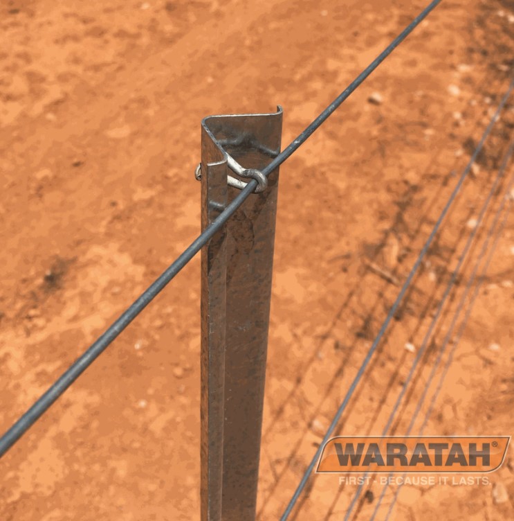 FENCE DROPPERS 117CM GALVANISED 45BN WARATAH 142693 from Tom Grady