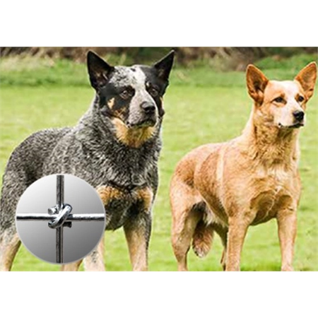 FENCING MAXLOC DOG FENCE 2.50MM 12/120/15 100M ANGAS AUSTRAL 100765