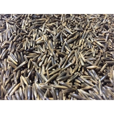 FORAGE OATS SAIA PER KG (25) UPPER MURRAY