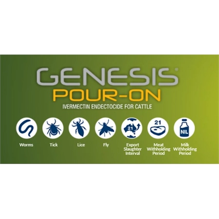 GENESIS POUR ON 2.5LT BOEHRINGER 485720