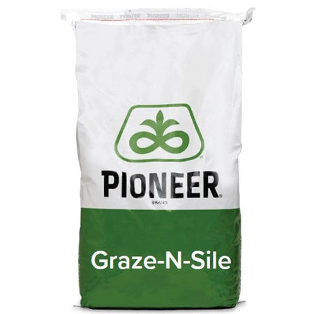 GRAZE-N-SILE B/S PLUS FORAGE SORGHUM THICRUEP 20KG BAG GENTECH