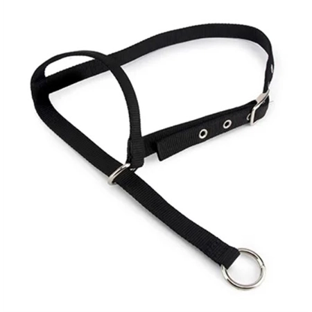 HALTER LEADING CALF BLACK BAINBRIDGE A2185-BK