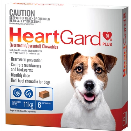 HEARTGARD PLUS CHEWABLES FOR DOGS UP TO 11KG 6 PACK (BLUE) 141349