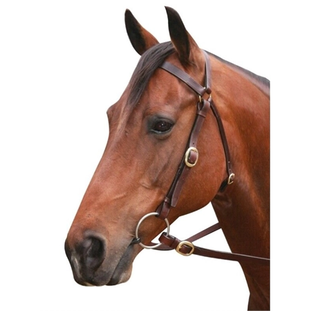 HORSE 3/4 BARCOO BRASS BRIDLE AND REINS COB SHOWCRAFT NATEQ 3096