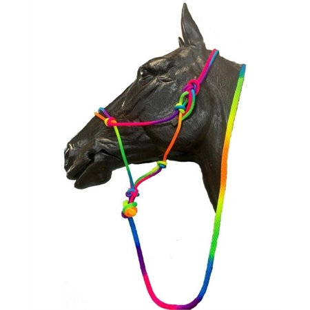 HORSE HALTER BAMBINO KNOTTED AND LEAD SET RAINBOW PONY STC BAM2200P