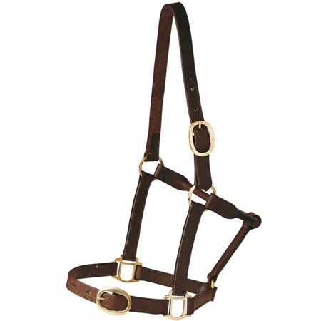 HORSE HALTER LEATHER BROWN FULL STC SRP6100F BR