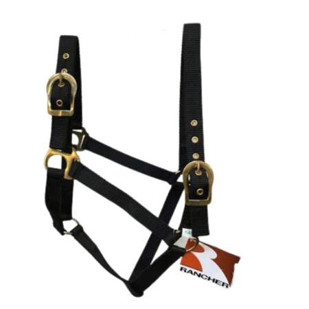 HORSE HALTER WITH BRASS BUCKLES BLACK FULL STC RAN2000FBK