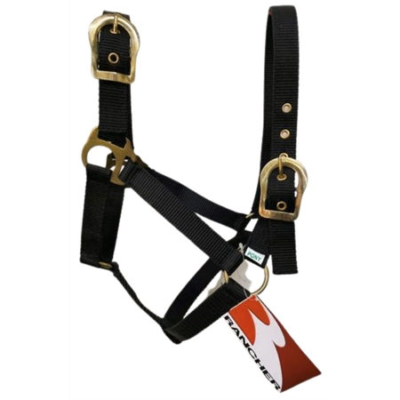 HORSE HALTER WITH BRASS BUCKLES BLACK PONY STC RAN2000PBK