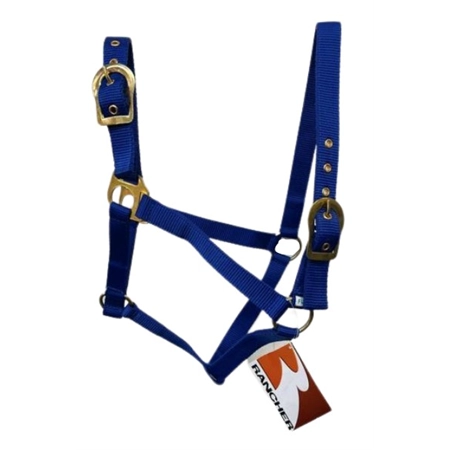 HORSE HALTER WITH BRASS BUCKLES BLUE FULL STC RAN2000FBL