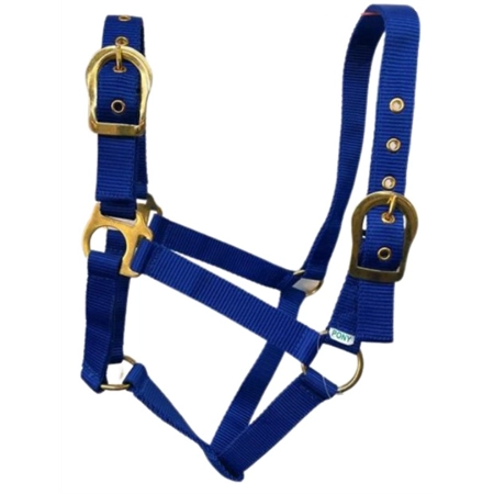 HORSE HALTER WITH BRASS BUCKLES BLUE PONY STC RAN2000PBL
