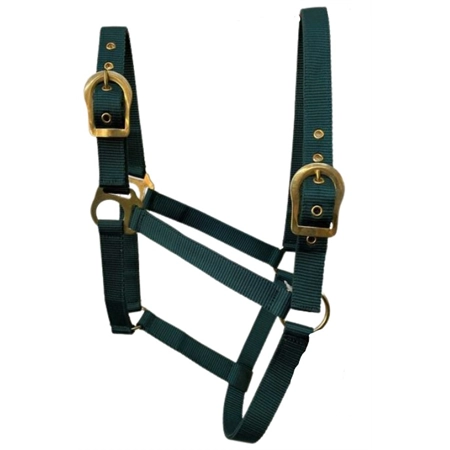 HORSE HALTER WITH BRASS BUCKLES GREEN COB STC RAN2000C HG