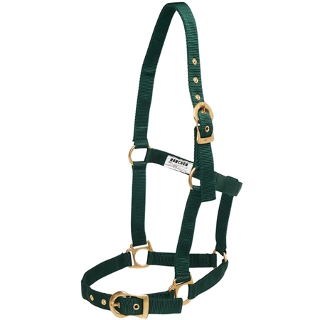 HORSE HALTER WITH BRASS BUCKLES GREEN FULL STC RAN2000FHG