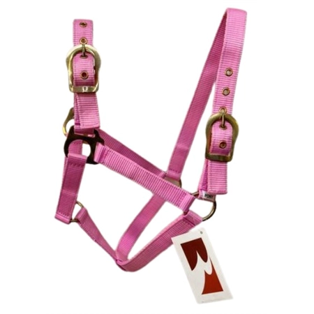 HORSE HALTER WITH BRASS BUCKLES PINK PONY STC RAN2000P PK