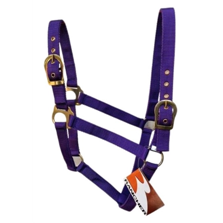 HORSE HALTER WITH BRASS BUCKLES PURPLE COB STC RAN2000CPU