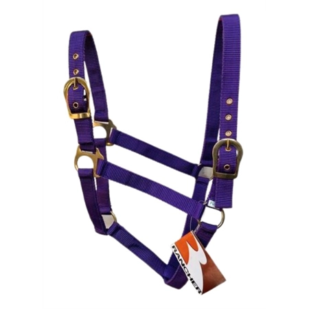 HORSE HALTER WITH BRASS BUCKLES PURPLE FULL STC RAN2000FPU