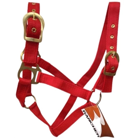 HORSE HALTER WITH BRASS BUCKLES RED COB STC RAN2000CRD