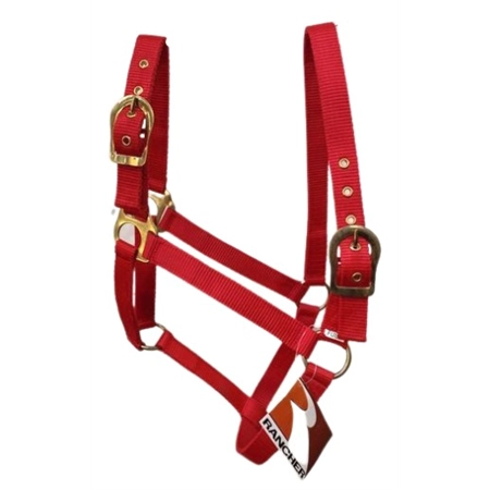 HORSE HALTER WITH BRASS BUCKLES RED FULL STC RAN2000FRD