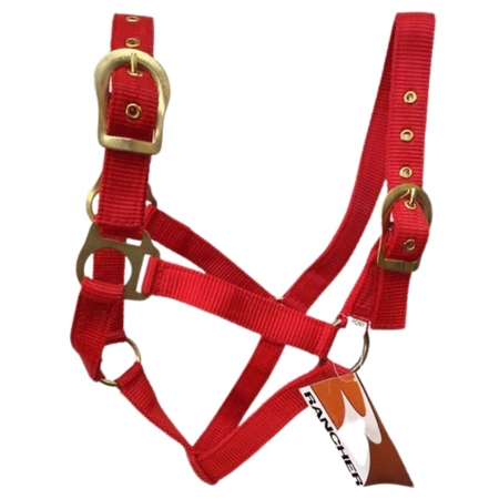 HORSE HALTER WITH BRASS BUCKLES RED PONY STC RAN2000PRD