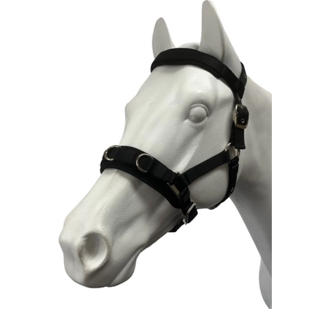 HORSE LUNGE CAVESON NLYLON SMALL / MEDIUM NATEQ 6818 LU
