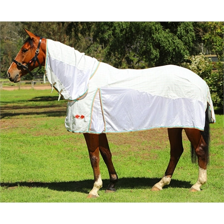 HORSE RUG ECONO HYBRID COMBO 5'6 ZILCO 757844