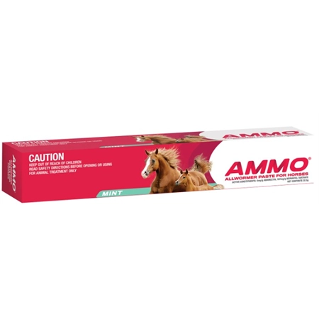 HORSE WORMER AMMO ALLWORMER 32.5GM BROAD SPECTRUM & BOT PASTE E07020B