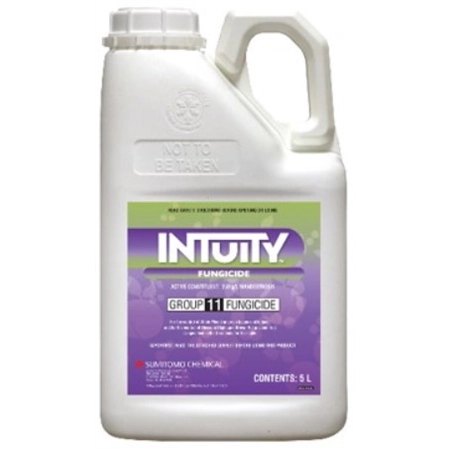 INTUITY FUNGICIDE 5LT 250 G/L MANDESTROBIN SUMITOMO CHEMICAL (AGENCY)