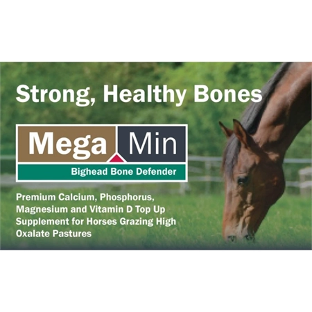 MEGAMIN BIG HEAD BONE DEFENDER SOLD PER KG RATE AGSOLUTIONS BIGHEADPER