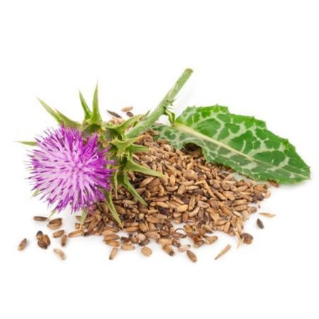 MILK THISTLE SEED ORGANIC 500GM HERBAL CONNECTIONS 123951