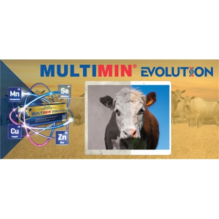 MULTIMIN EVOLUTION CATTLE 200ML VIRBAC MULTEV200V