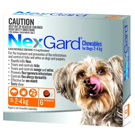 NEXGARD CHEWABLE FLEA & TICK TREATMENT VERY SMALL DOG 2 - 4KG 6PK (OR)