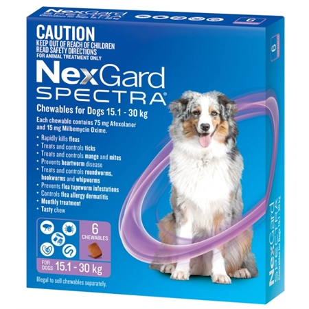 NEXGARD SPECTRA DOG 15.1 - 30KG 6 PACK (PURPLE) 143067