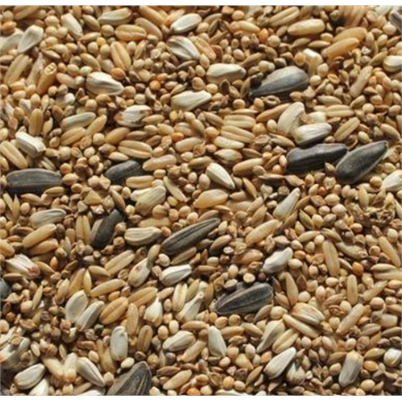 PARROT BIRD SEED MIX 5KG BAG PICK UP ONLY 1568454