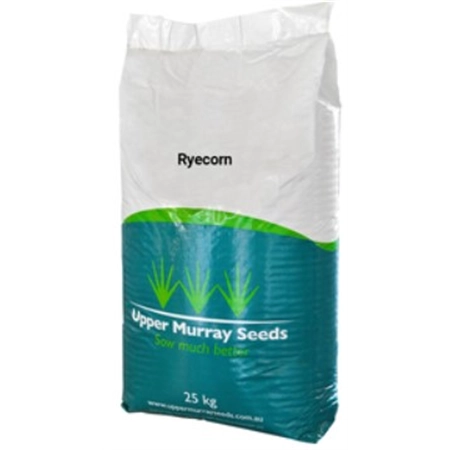 PER KG RYECORN UPPER MURRAY SEEDS RYE