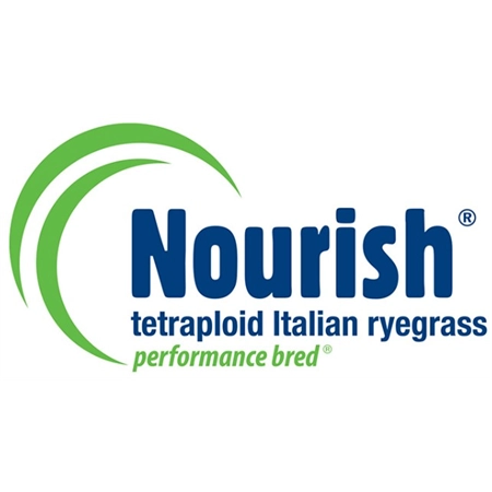 PER KG RYEGRASS ITALIAN NOURISH SEED 160987