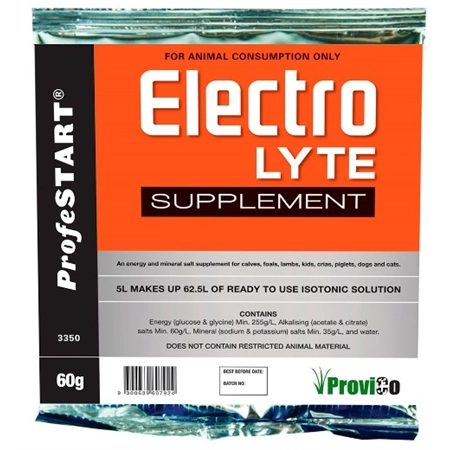 PROFESTART ELECTROLYTE POWDER 60GM PACK EASTERN DISTRIBUTORS 100712064